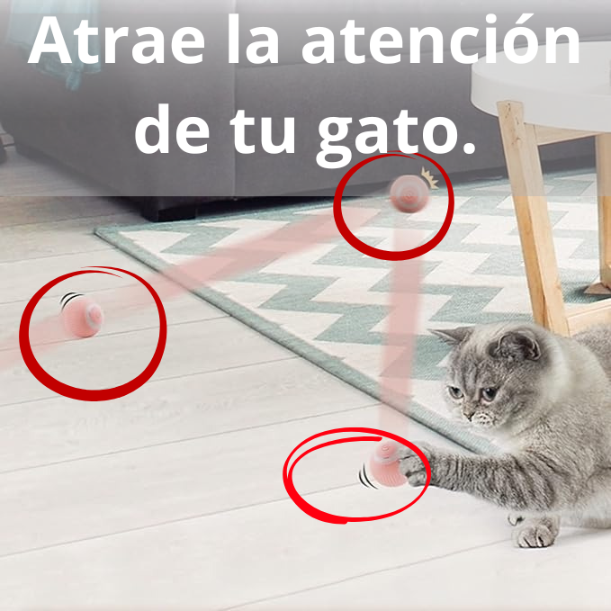 PELOTA SMART PARA MASCOTAS