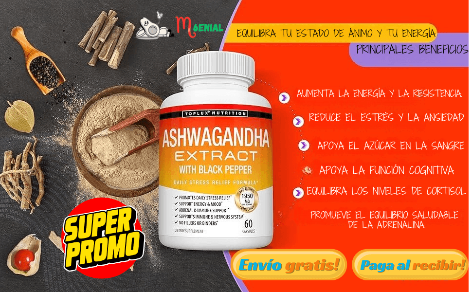 Ashwa Zen – Calma tu mente sin apagarte
