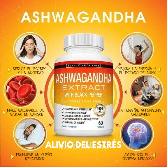 Ashwa Zen – Calma tu mente sin apagarte